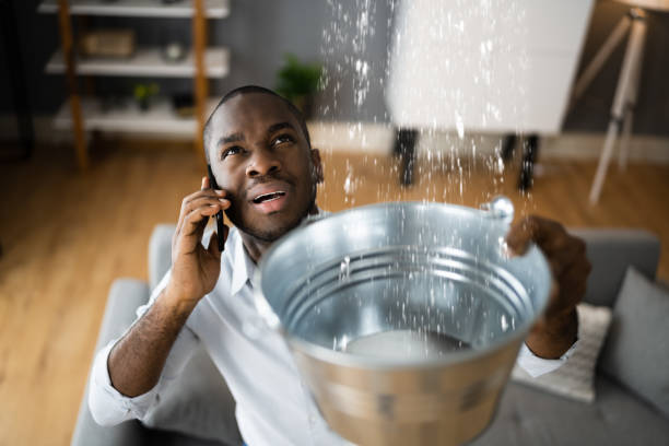 Best Carpet water damage restoration  in Santo Domingo Pueblo, NM