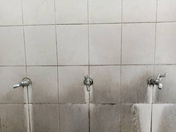 Local water damage restoration in Santo Domingo Pueblo, NM