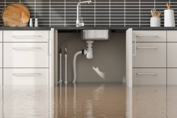 Best Water damage restoration near me  in Santo Domingo Pueblo, NM