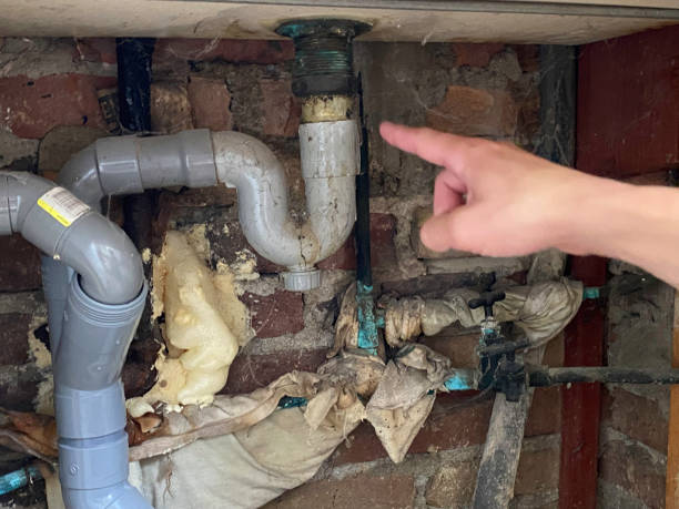Best Flood restoration services  in Santo Domingo Pueblo, NM